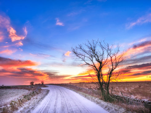 A Winters Dawn - Print